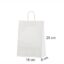 Valge paberkott mõõtudega 18x8x25 cm